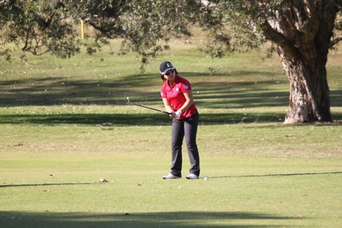 IMG_9847.JPG