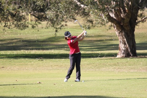 IMG_9849.JPG