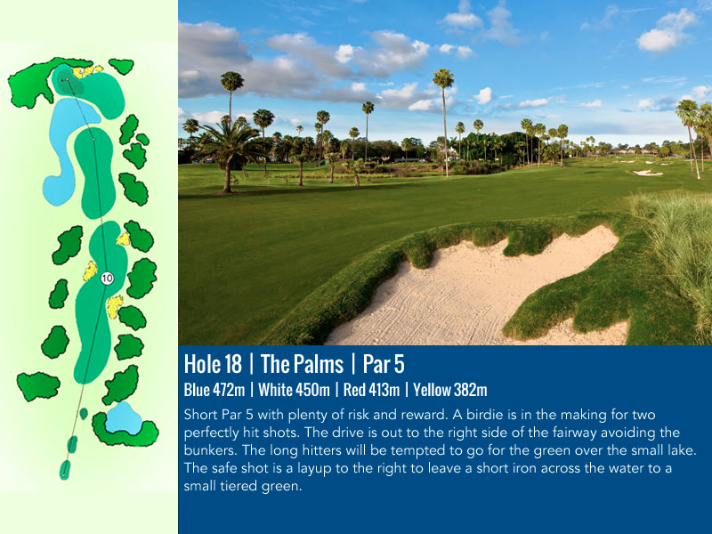 palms-hole-18.jpg
