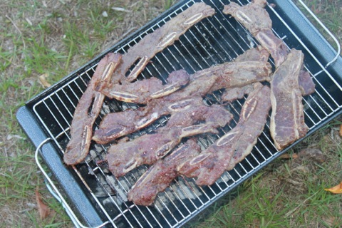 IMG_2913.JPG