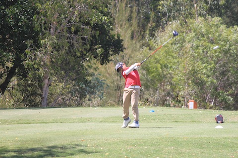 IMG_8713.JPG